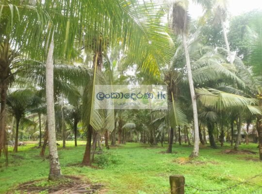 Land for sale Katunayake