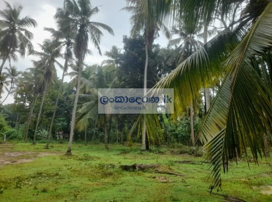 Land for sale Katunayake