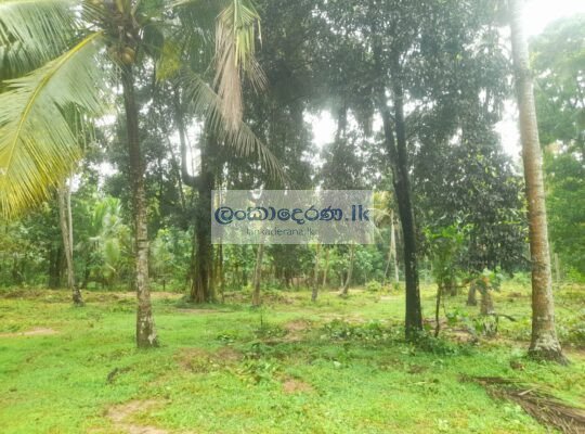 Land for sale Katunayake