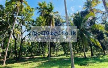 Valuable Land for Sale – Katunayake