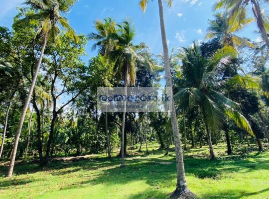 Valuable Land for Sale – Katunayake