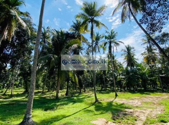 Valuable Land for Sale – Katunayake