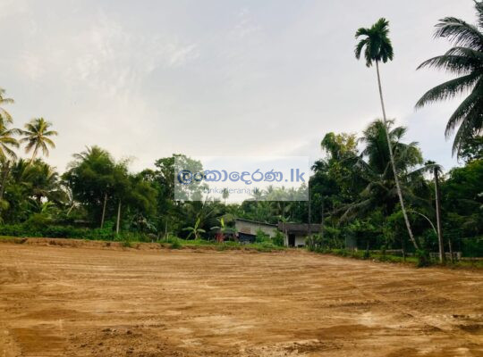 Land for sale in Horana