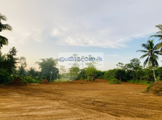 Land for sale in Horana