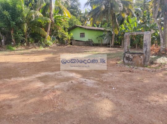 Land for Sale in Mahabellana, Bandaragama 2023