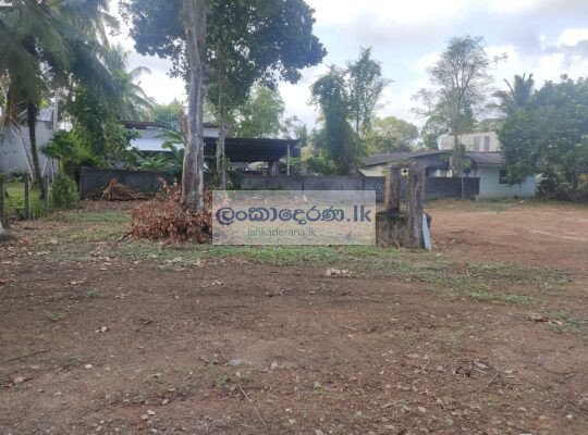 Land for Sale in Mahabellana, Bandaragama 2023