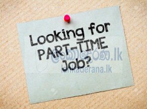 Part – Time Job Wanted