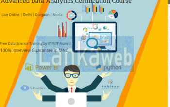 Data Analytics Course in Delhi.110061. Best Online