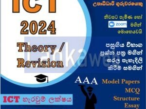 A/L ICT 2024 Theory / Revision