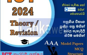 A/L ICT 2024 Theory / Revision