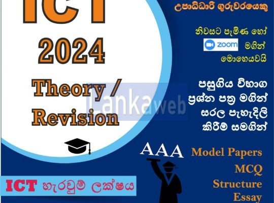 A/L ICT 2024 Theory / Revision