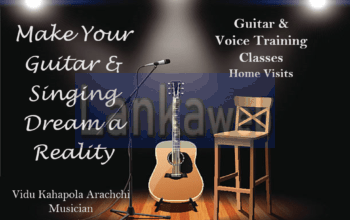 Guitar and Voice Training Classes (Home Visits)