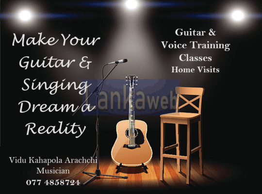 Guitar and Voice Training Classes (Home Visits)