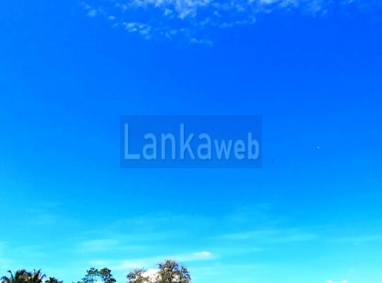 Lands For Sale Near Bandaragama 2024