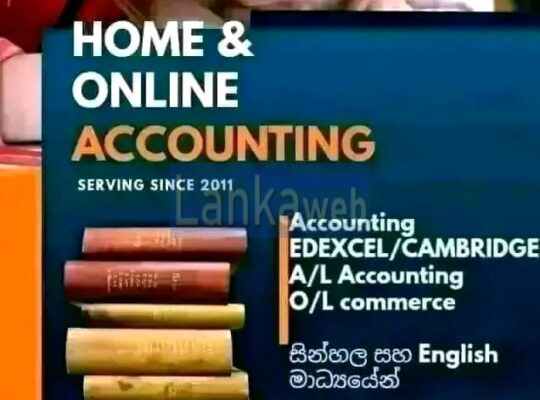 Accounting Economics Edexcel Cambridge local AL OL