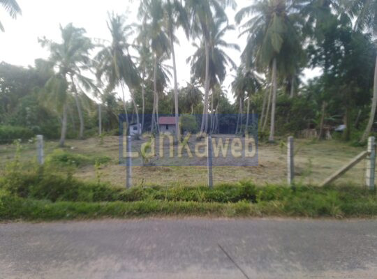 Land for sale in Marawila