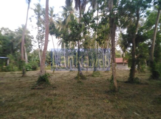 Land for sale in Marawila