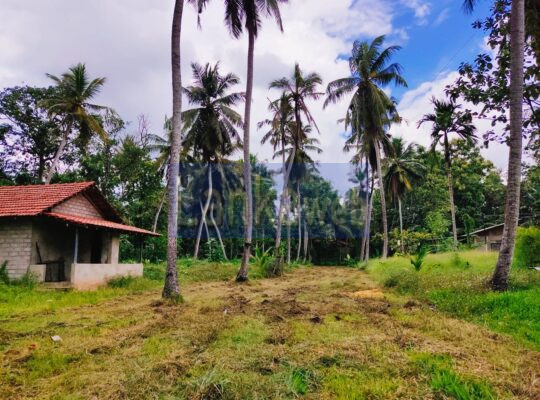 Land for sale in Marawila