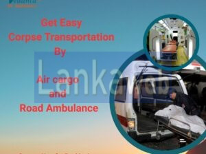 Vedanta Offers All-Around Aid for Body Transit