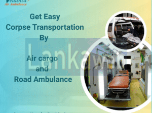 Vedanta Ambulance Offers Efficient Assistance for