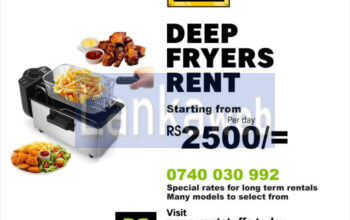 Deep fryers rental