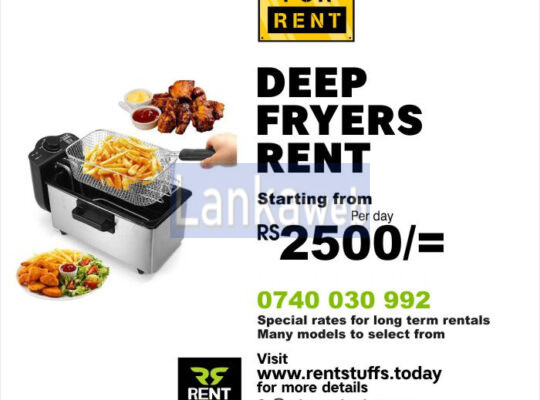 Deep fryers rental