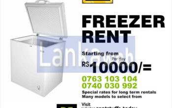 Freezer for rent