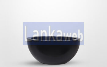 Fiberglass Planter Wholesaler in Sri Lanka