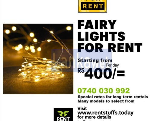 Rent Fairy Lights For Marquee