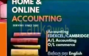 Accounting Economics Edexcel Cambridge local AL OL