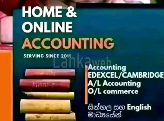 Accounting Economics Edexcel Cambridge local AL OL