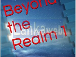 Beyond the Realm novel series by Joel Goulet