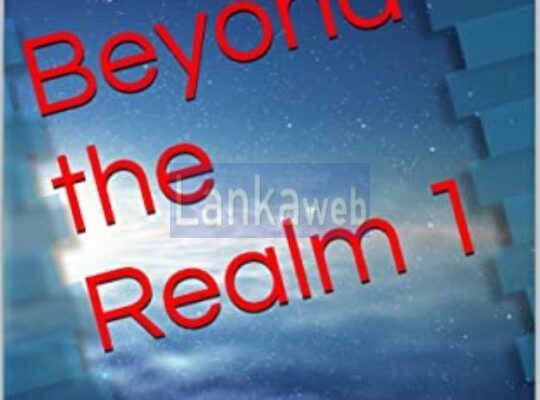 Beyond the Realm novel series by Joel Goulet