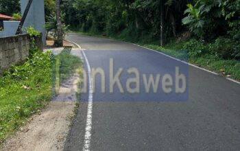 පන්නිපිටියෙන් සුන්දර,නිස්කලංක ඉඩමක්