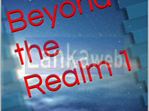 Beyond the Realm novel series by Joel Goulet