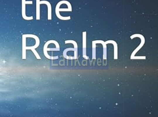 Beyond the Realm novel series by Joel Goulet