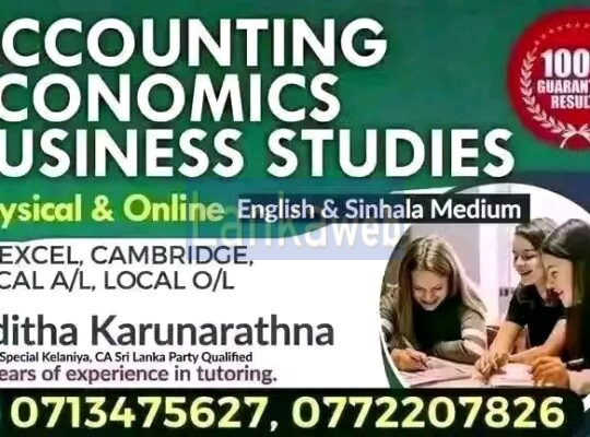 Accounting Economics Edexcel Cambridge local AL OL
