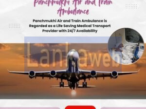 Select Air Ambulance in Delhi with Effective Medic