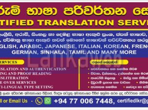 PROFESSIONAL TRANSLATION SERVICES ONLINE NOW