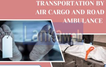 Panchmukhi Freezer Box Transportation in Varanasi