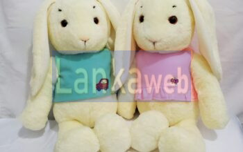 Handmade Soft Toy Cuddle Bunny