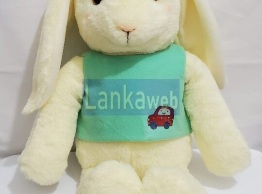Handmade Soft Toy Cuddle Bunny