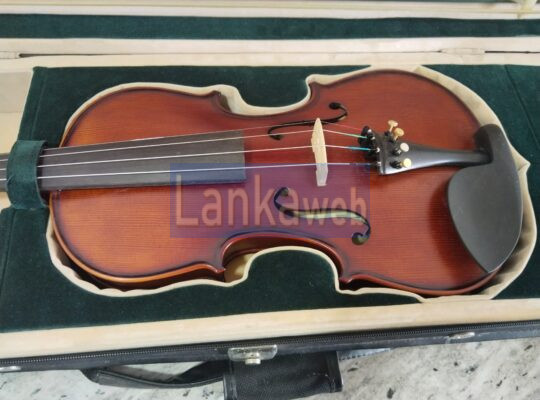 Violin for Sale (with case)
