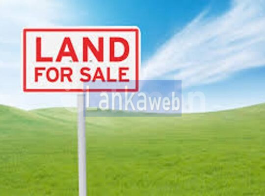 20 Perch Land for Sale – Piliyandala