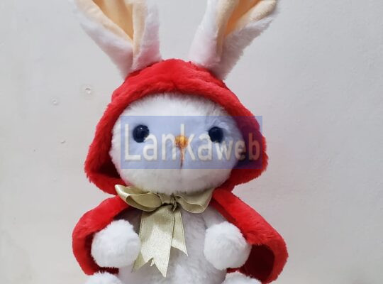 Handmade Soft Toy Red Riding Bunny