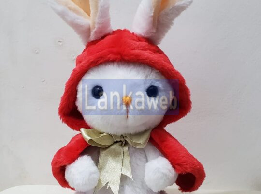 Handmade Soft Toy Red Riding Bunny