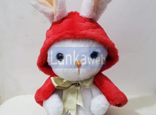 Handmade Soft Toy Red Riding Bunny