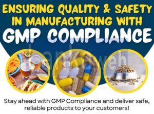 Get GMP Certification Services in Austin