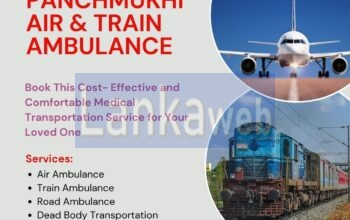 Pick Air Ambulance in Delhi with Greater Medical
