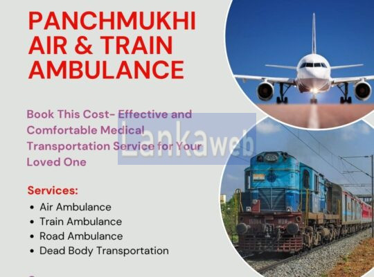 Pick Air Ambulance in Delhi with Greater Medical